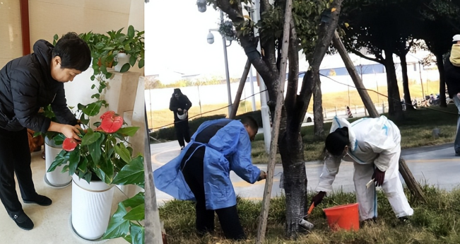 “启新篇，焕新颜”——新利商办事业部开展年终大清洁行动